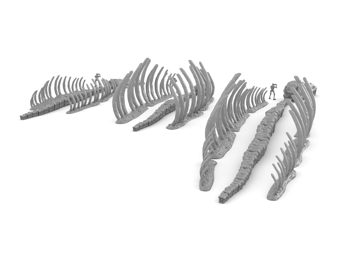 Desert Dragon Skeleton Wargaming Scatter Terrain