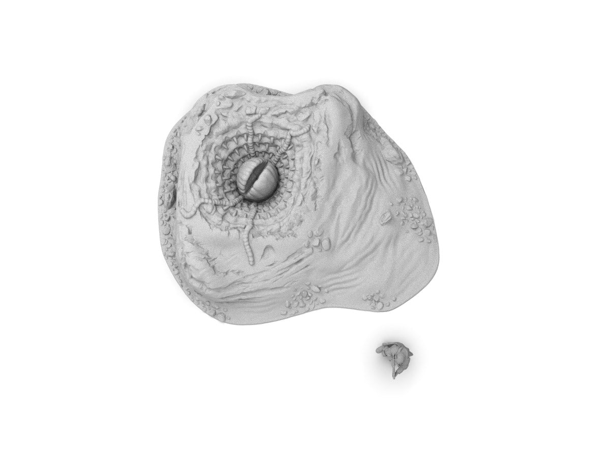 Worm Pit by Jesús - Digital STL File